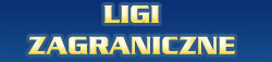 Ligi zagraniczne